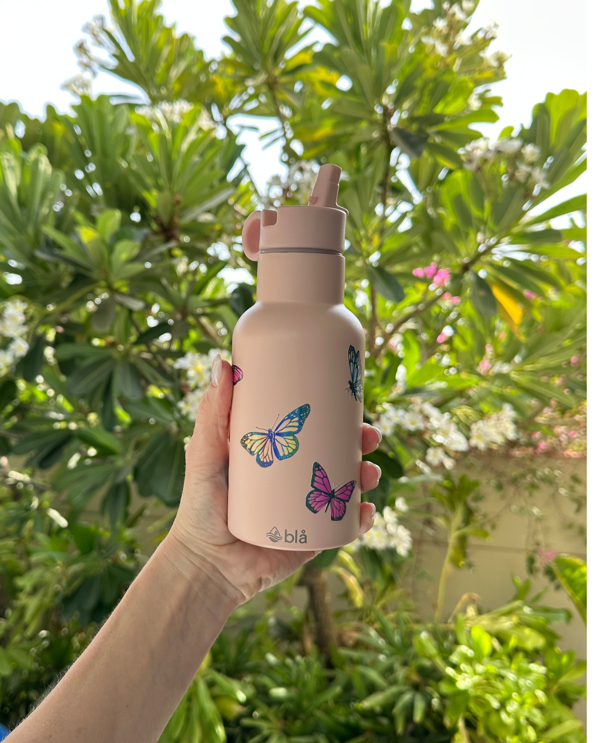 DAWN - DIY Butterfly Bottle